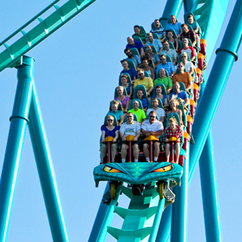 Canada's Wonderland Rollercoaster 