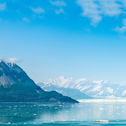 Alaska Cruises