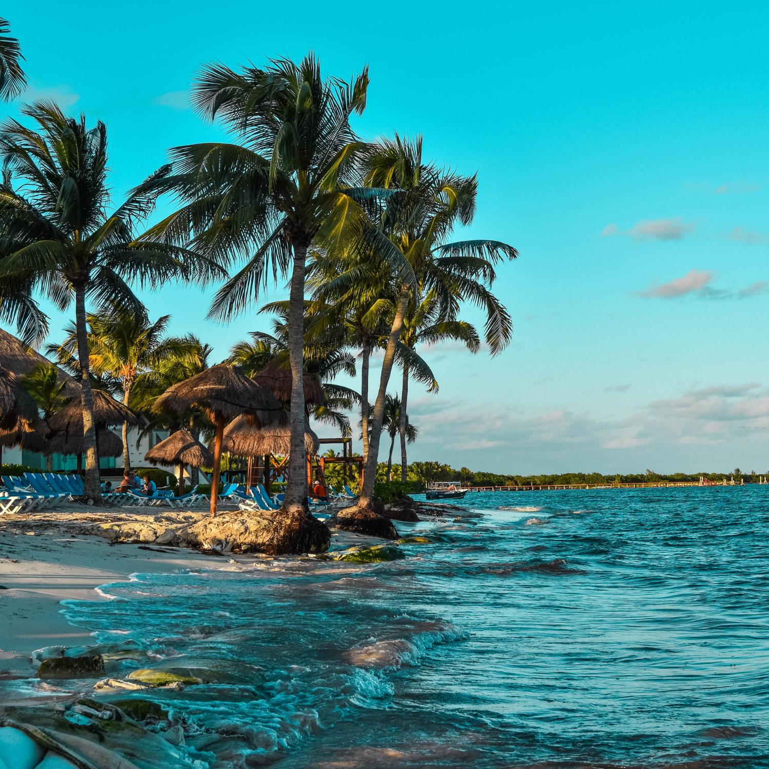 View of Carribean beach with palm trees