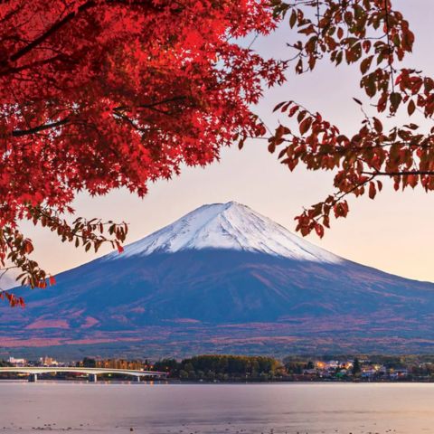 Mount Fuji